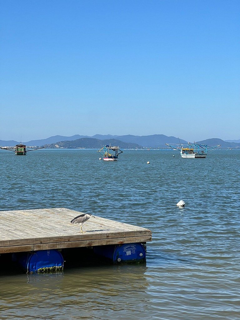 Paraíso! Linda cobertura com vista 360°!