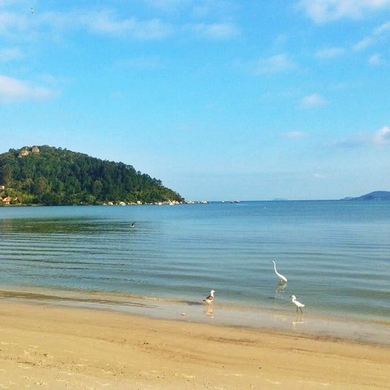 Paraíso! Linda cobertura com vista 360°!